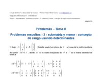 Problemas resueltos - 3 - submatriz y menor - concepto de rango usando determinantes.pdf