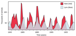 Rising and Falling: IM Alg2.6.8