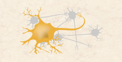 Biophysik: Signalleitung im Nervensystem (alt)