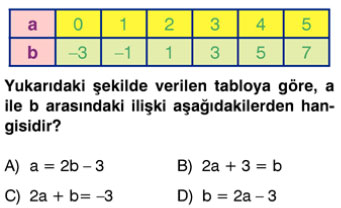 Aşağıdaki iki soruyu cevaplayınız. 