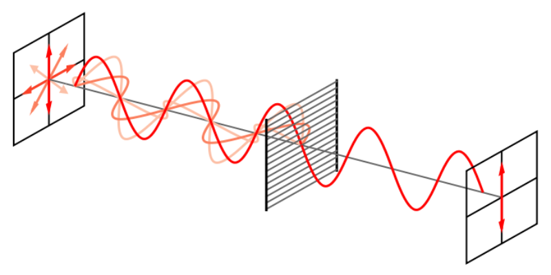 [url=https://commons.wikimedia.org/wiki/File:Wire-grid-polarizer.svg]"Wire Polarizer"[/url] by Fffred is licensed under [url=http://creativecommons.org/licenses/by-sa/3.0]CC BY-SA 3.0[/url]

A wire grid polarizer for microwaves.  Notice that the plane of polarization that gets transmitted is perpendicular to the wires in the grid.