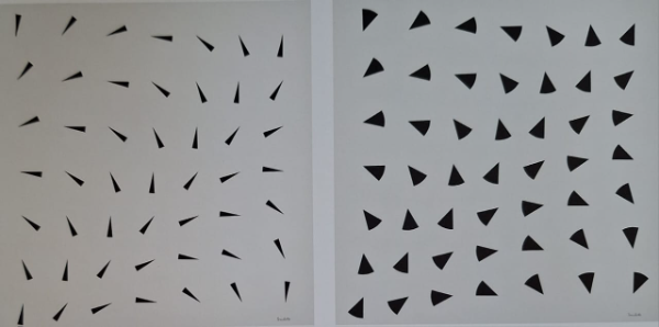 Figure 11 - Cuts (0015, 0019)