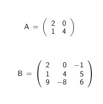 Example of matrices