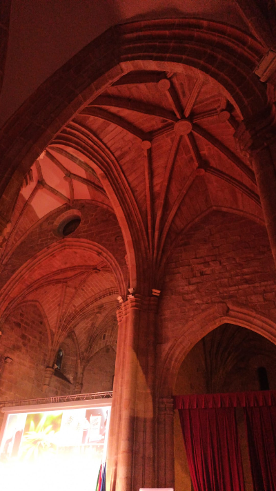 Bóvedas en la Iglesia catedralicia del Monasterio San Francisco el Real, complejo cultural San Francisco, Cáceres (ahora de uso cultural)