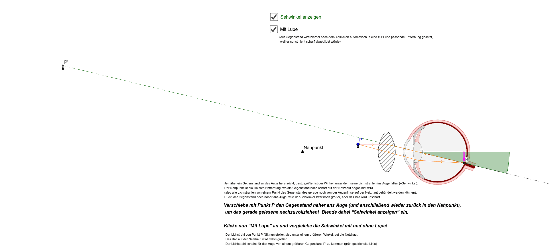 companion Predictor Backward Verwendung einer Lupe und Einfluss auf den Sehwinkel – GeoGebra