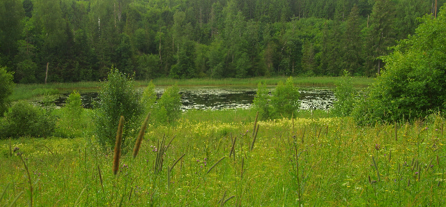 Väike Mudajärv Paganamaa maastikukaitsealal
Foto: Ilme Parik