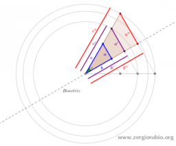 Desarrollo del Pensamiento Trigonométrico