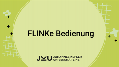 FLINKe Bedienung