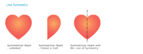 Line of symmetry