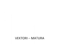Matematika - Vektori (Roko Jurlina 3.E).pdf