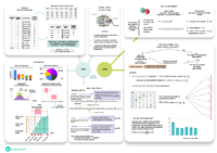Mapa conceptual (4) (3).pdf