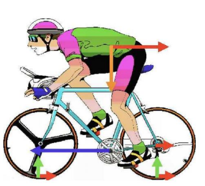 Parte dell’energia meccanica trasferita sui pedali dal ciclista viene trasformata in
calore attraverso tutte le resistenze passive, mentre la parte “utile” diventerà
energia cinetica della bicicletta . Il moto su una direzione non orizzontale implica
che parte dell’energia impressa sui pedali, anziché ritrasformarsi in energia
cinetica, vada ad incrementare l’energia potenziale gravitazionale