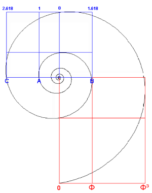 spiral with factor [math]\Phi^2=2.62[/math] each 360°