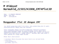 M Hidayat Nurmuhid_22301241008_EMT4Plot3D_11zon.pdf