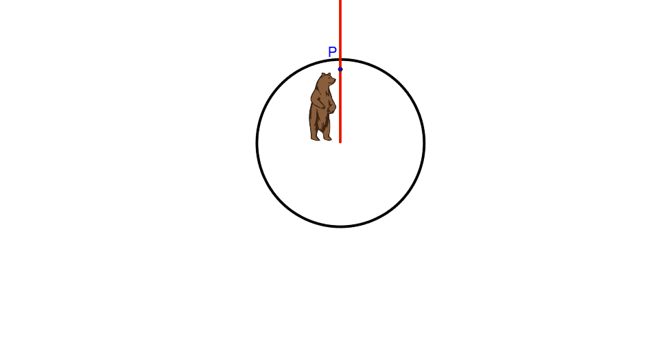 Move Point P to show this bear rotated 270 degrees. Press Enter to start activity