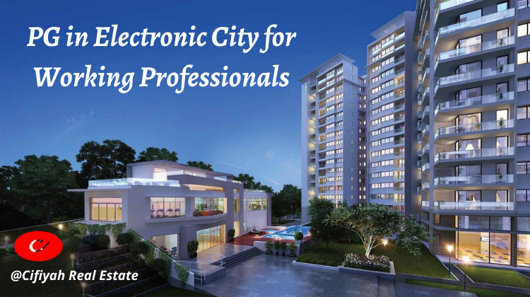  PG in Electronic City