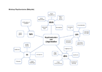 Repräsentanten_Mindmap.pdf