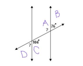 TRANSVERSAL4