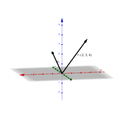 11 Vectors