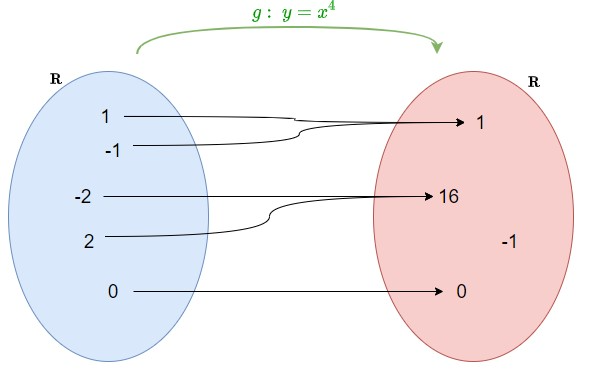 La relazione matematica nella figura è una [b]funzione[/b], perché ogni numero ha un solo risultato se lo si eleva alla quarta. Però [b]non è iniettiva[/b] (un numero ed il suo opposto danno lo stesso risultato) e [b]neppure suriettiva[/b] (i numeri negativi non sono la quarta potenza di nessun numero). Quindi la funzione [b]non è biunivoca[/b]. 