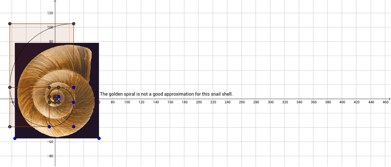 Snail Shell GeoGebra