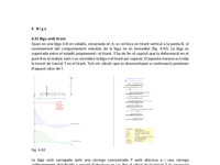 4.21 Biga amb tirant.pdf
