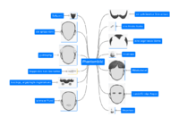 Phantombild_Elemente_Lsg.pdf