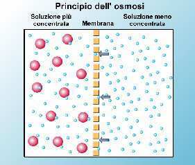 Osserva attentamente l'immagine seguente