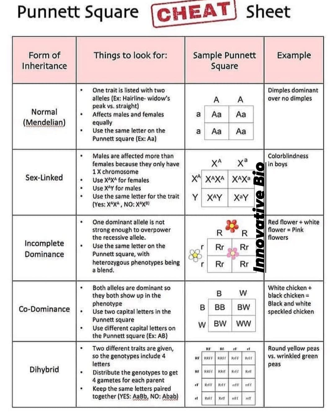 Punnett Square Cheat Sheet