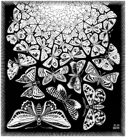 Butterflies (1950)