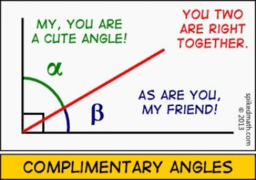 Angle Relationships - Yr 7