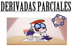 DERIVADAS PARCIALES