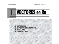 Precalculo de Villena - 01 - Vectores.pdf