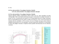 5.17-5.17.1.pdf