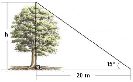 Hallar la altura del siguiente árbol: