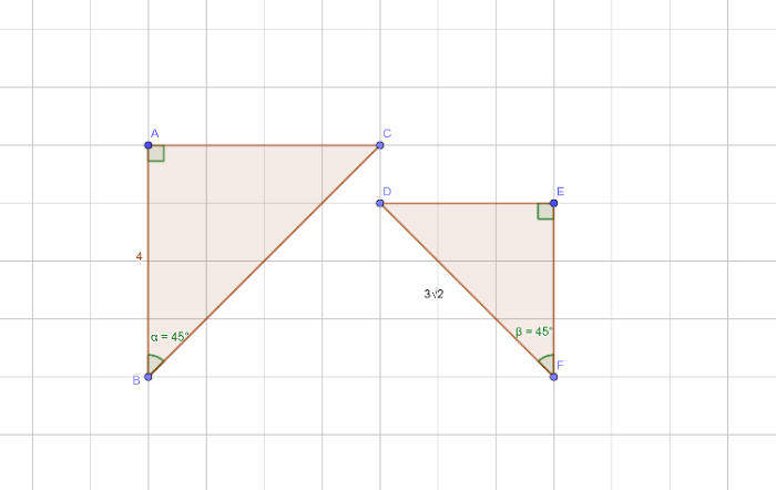 Resim-1