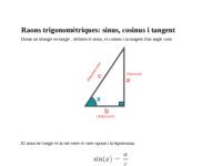 Raons trigonometriques.pdf