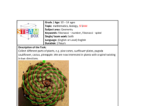 Fibonacci numbers, spiral.pdf
