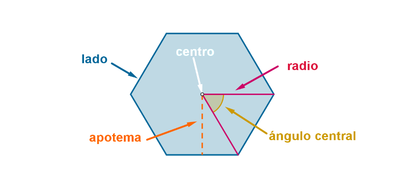 Elementos del polígono regular