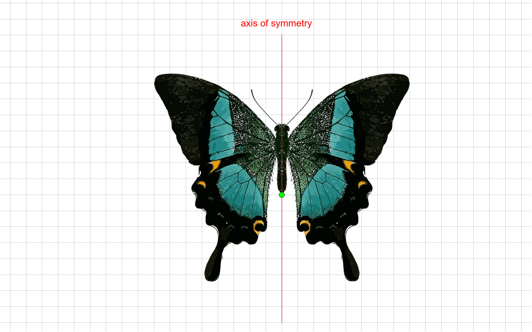 Butterfly symmetry geogebra