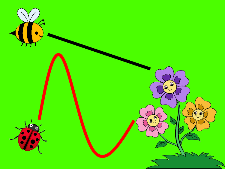 Il percorso dell'ape, per arrivare ai fiori, è una linea dritta, quindi è una SEGMENTO (perché ha un inizio, il punto da dove l'ape parte, ed una fine, il punto in cui si trova il fiore). Il percorso della coccinella è una linea curva, quindi non è una re