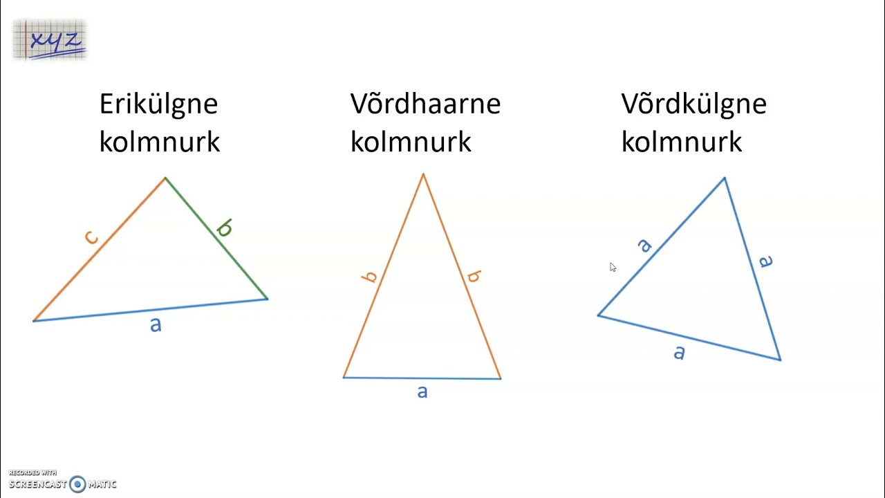 Liigitamine külgede järgi