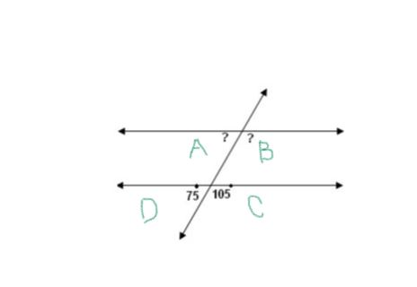 TRANSVERSAL3