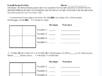 PunnettSQpractice.pdf