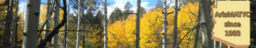 ArizMATYC Fall, 2018 Making Sense of Integration Visually