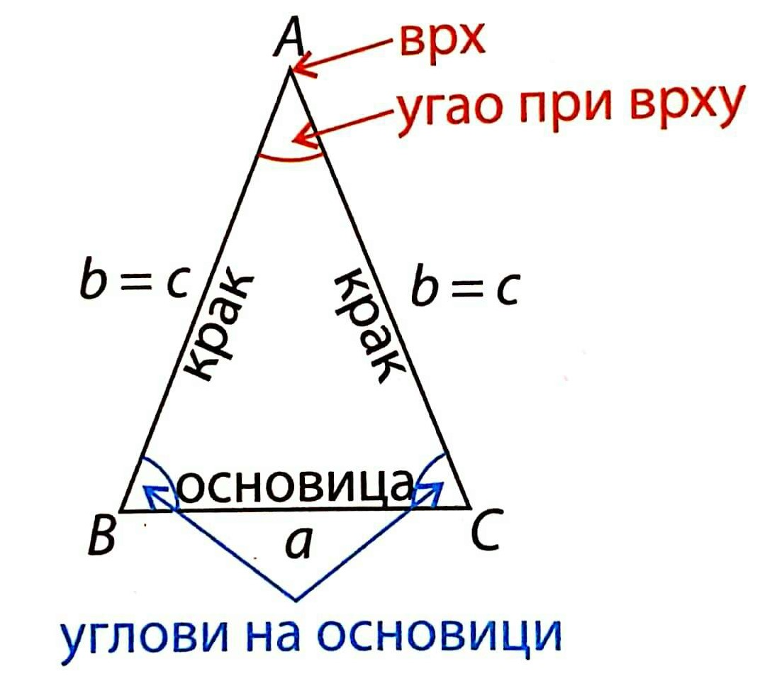 Jednake stranice nazivaju se kracima trougla, a treća stranica je osnovica. Teme naspram osnovice jednakokrakog trougla naziva se vrh tog trougla. Krake jednakokrakog trougla označavamo istim slovom.