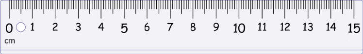 Ruler