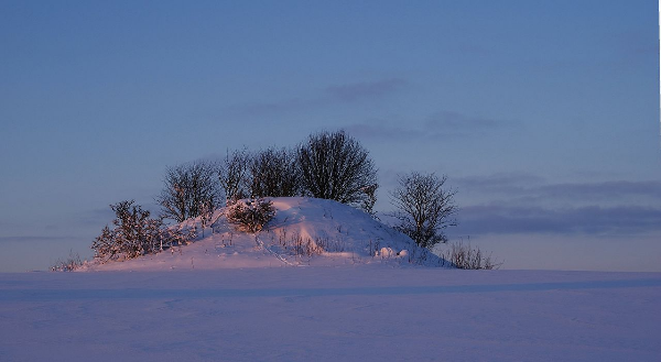 Foto: Kim Hansen