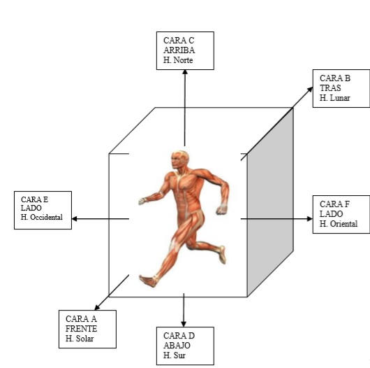 El hexaedro aplicado a la biogeometría en el contexto humano, según Yela (2014)