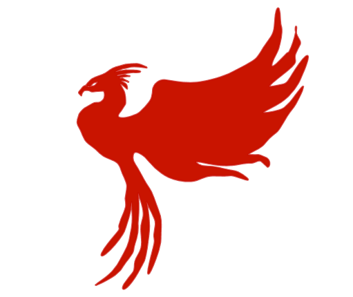 The Phoenix: Approximation using the Discrete Fourier Transform